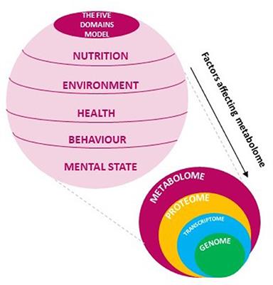 Filling gaps in animal welfare assessment through metabolomics